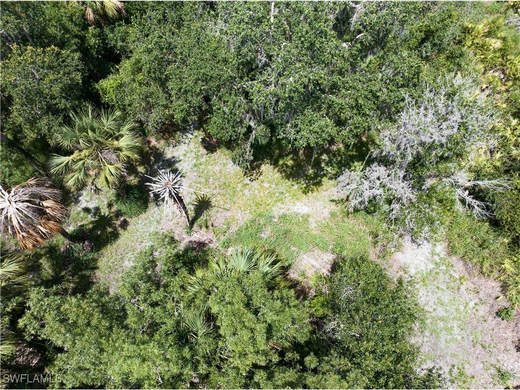 1269 NW Peace Pointe Drive Arcadia FL 34266 225049615 image12