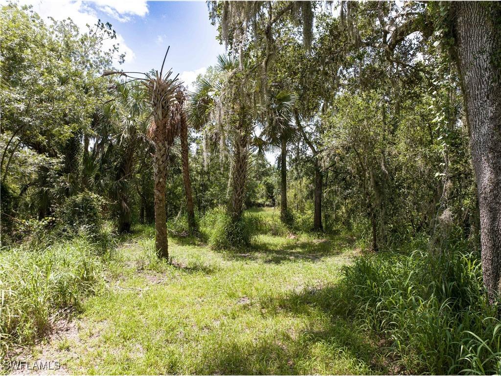 1269 NW Peace Pointe Drive Arcadia FL 34266 225049615 image7