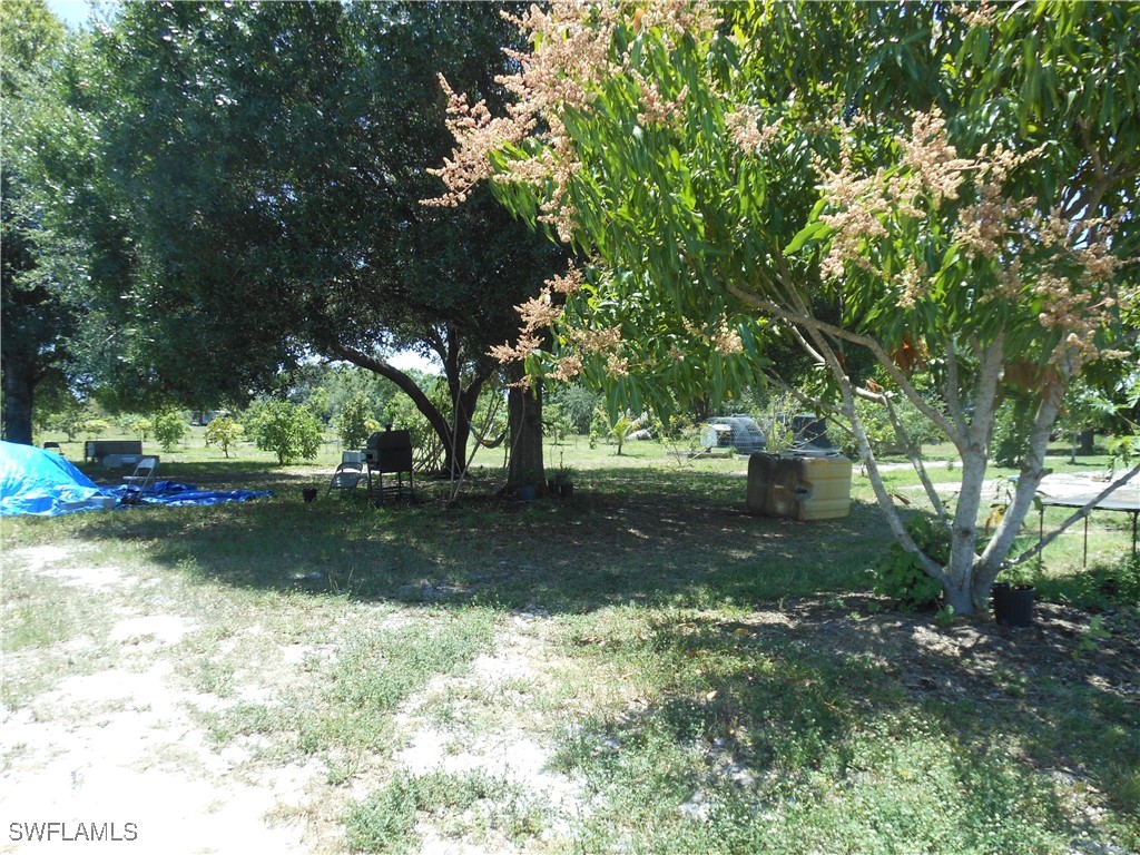 1280 Bonneville Street Labelle FL 33935 225042462 image1