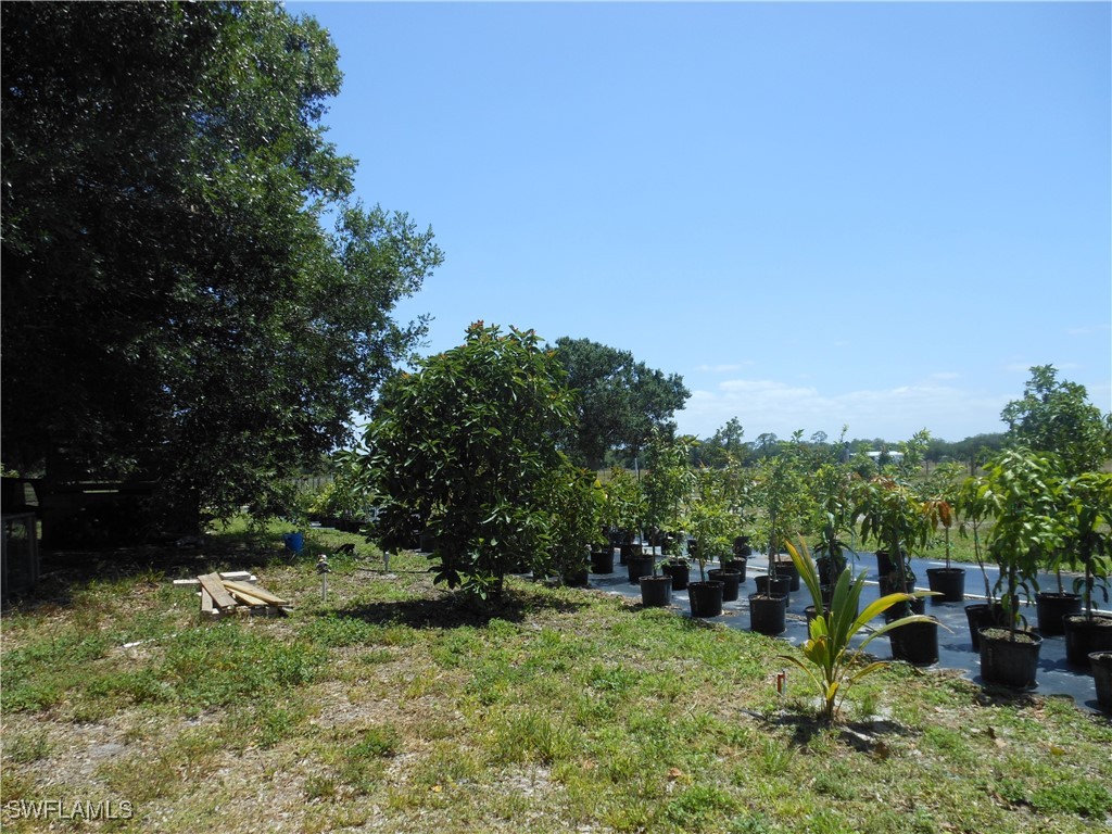 1280 Bonneville Street Labelle FL 33935 225042462 image18