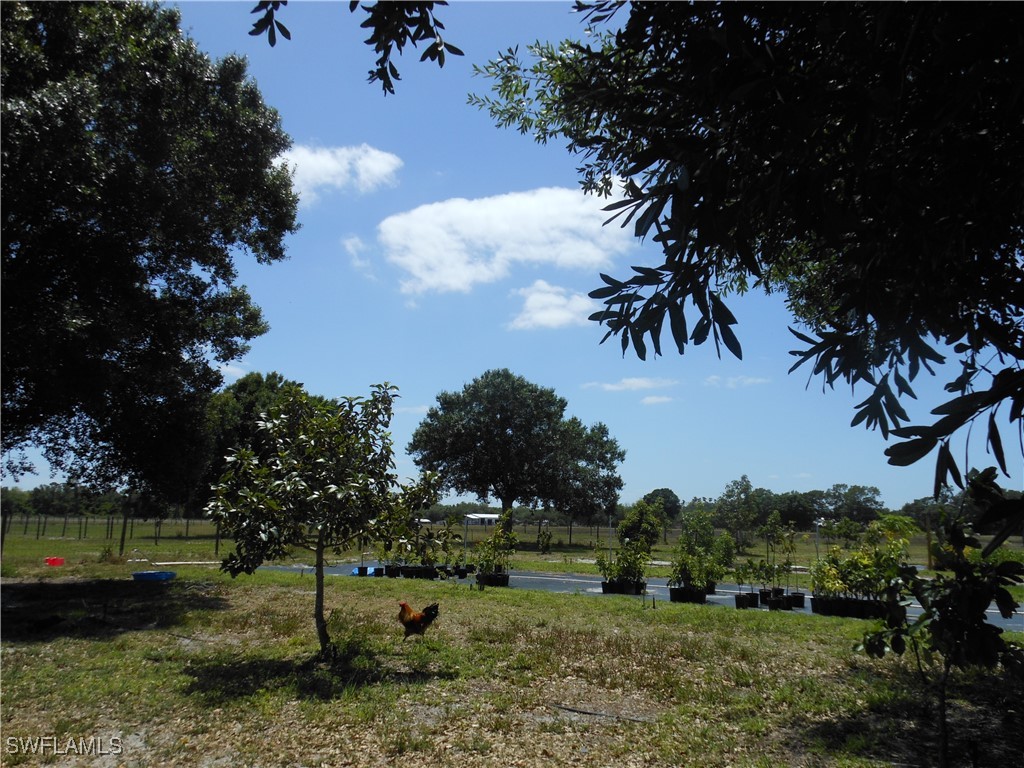 1280 Bonneville Street Labelle FL 33935 225042462 image2