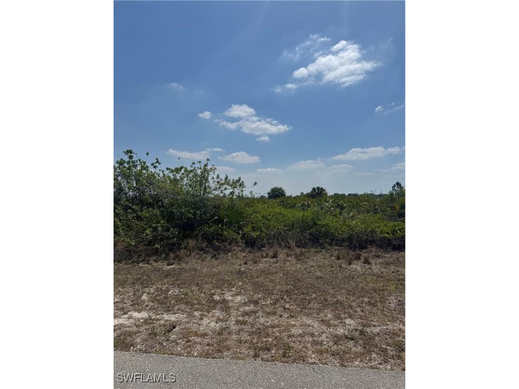 1306 Abbott Avenue Lehigh Acres FL 33972 225009949 image2