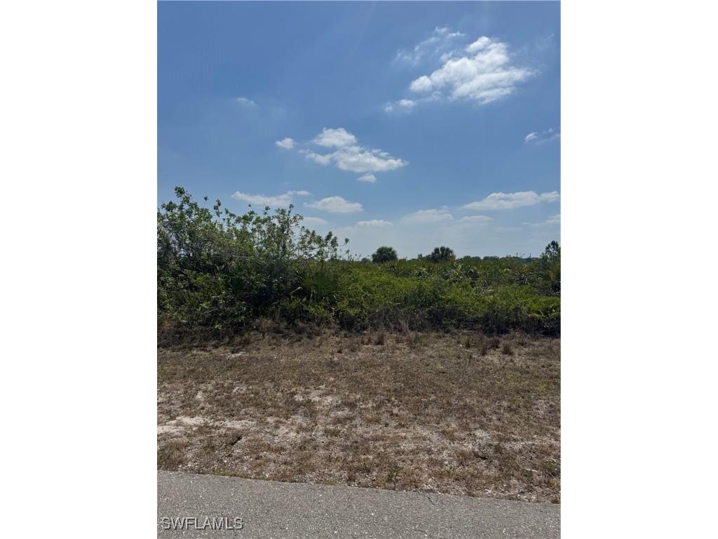 1306 Abbott Avenue Lehigh Acres FL 33972 225009949 image3