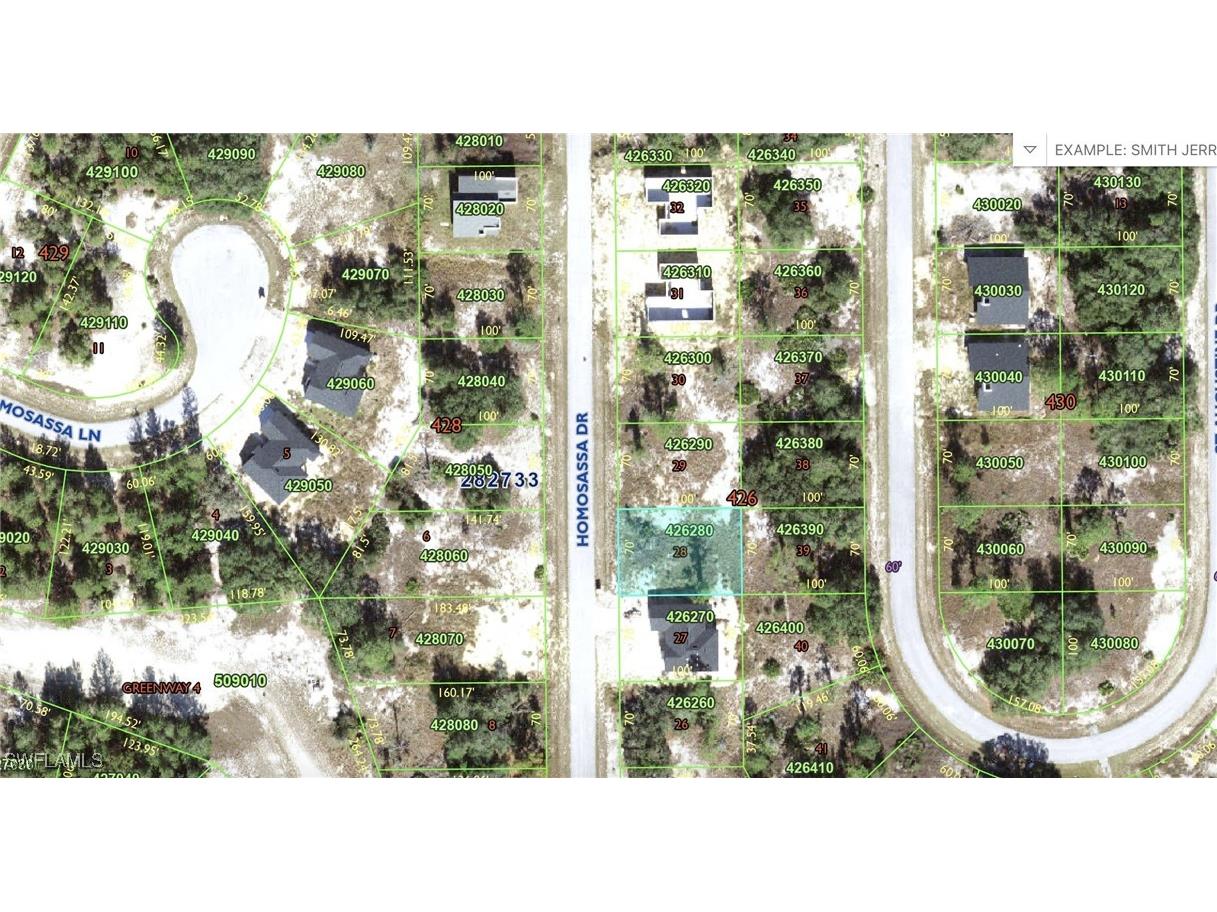 1308 Homosassa Drive Kissimmee FL 34759 225054557 image1
