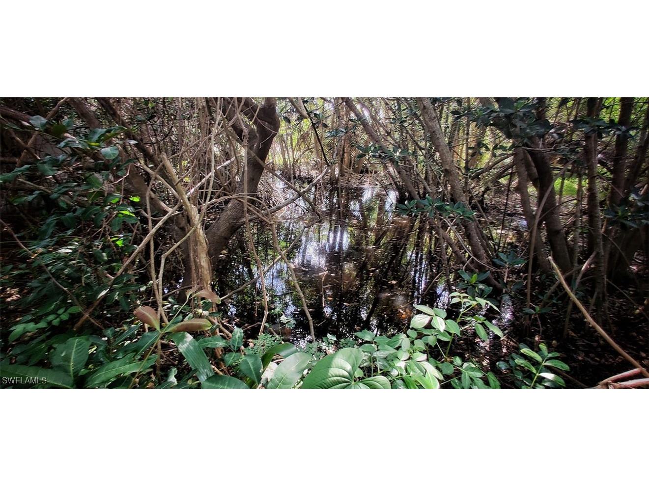 1309 Evalena Lane North Fort Myers FL 33917 224065800 image5