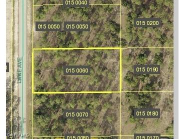 1312 Lake Avenue Lehigh Acres FL 33972 225011536 image1