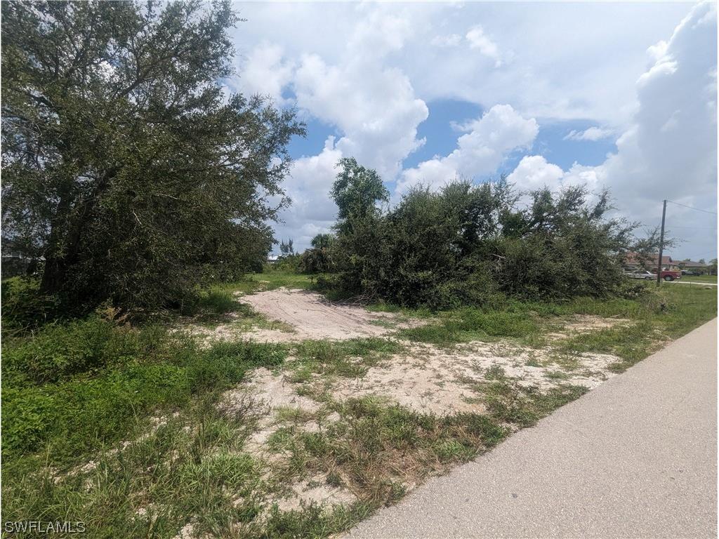 1315 SW 17th Place Cape Coral FL 33991 223058050 image2