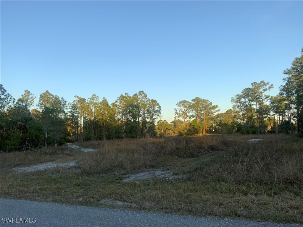 1316 Edison Avenue Lehigh Acres FL 33972 225015771 image2