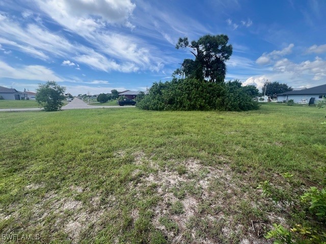 1317 NW 3rd Place Cape Coral FL 33993 224074457 image4