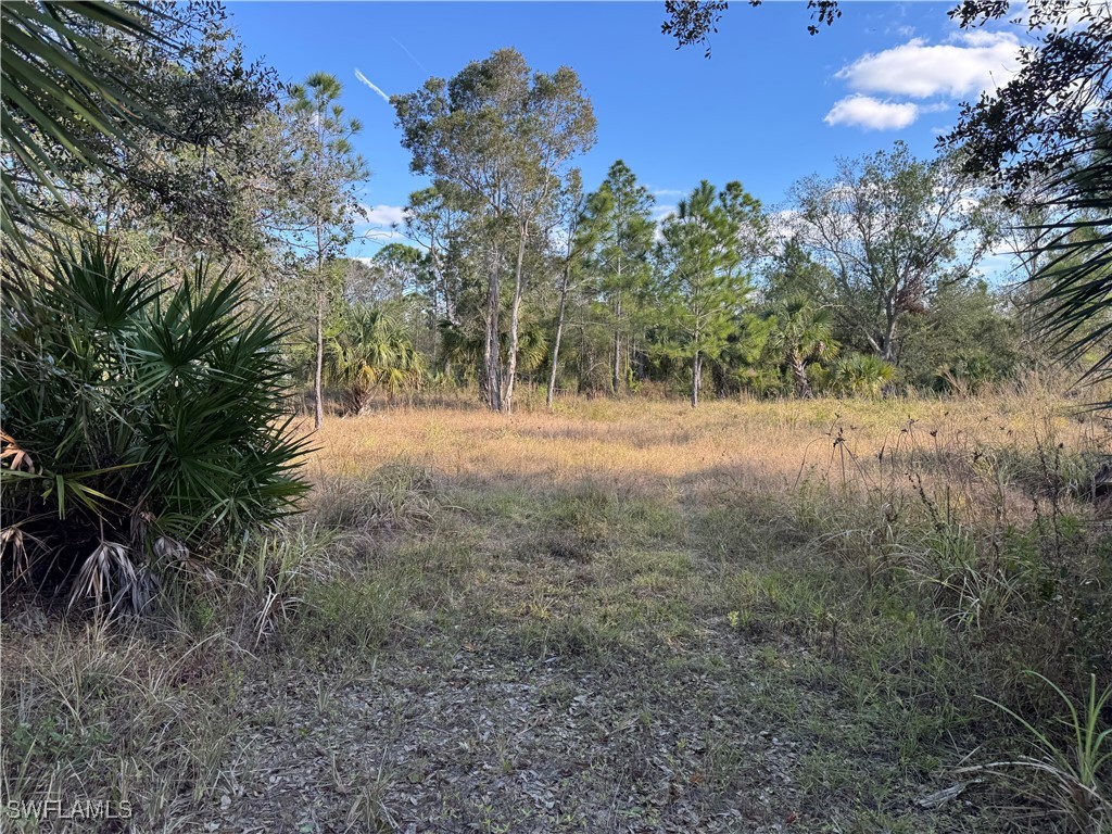 13182 Mandalay Drive Punta Gorda FL 33955 225008236 image3