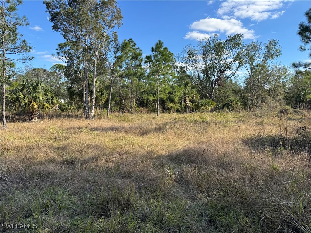 13182 Mandalay Drive Punta Gorda FL 33955 225008236 image4