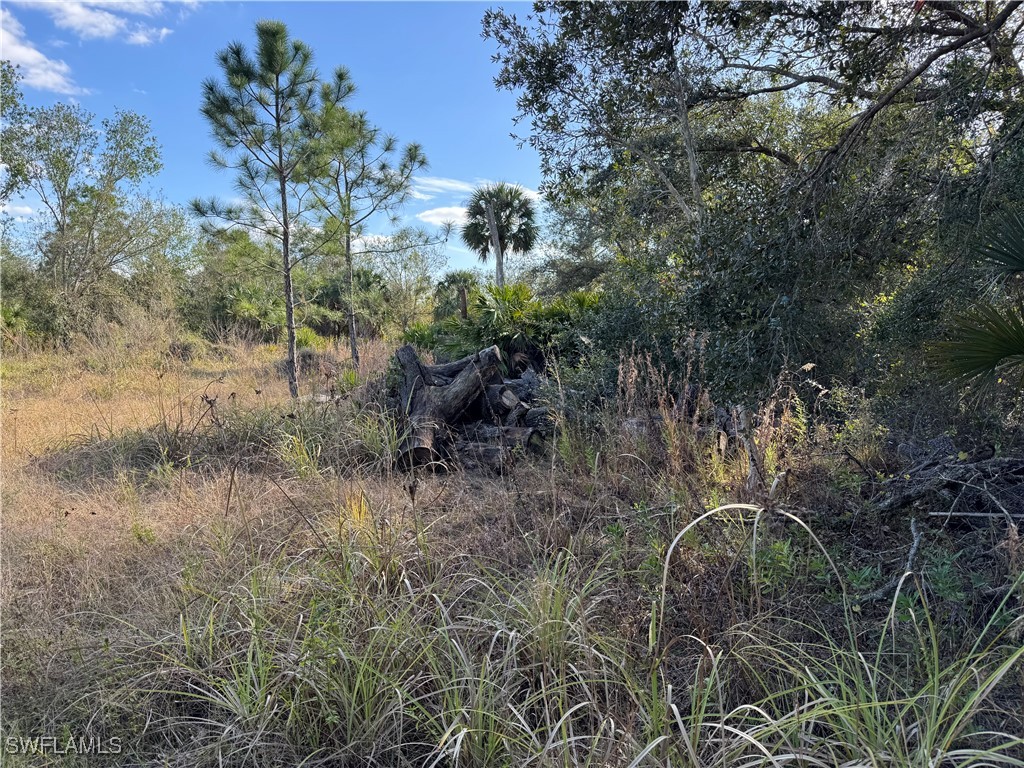 13182 Mandalay Drive Punta Gorda FL 33955 225008236 image5