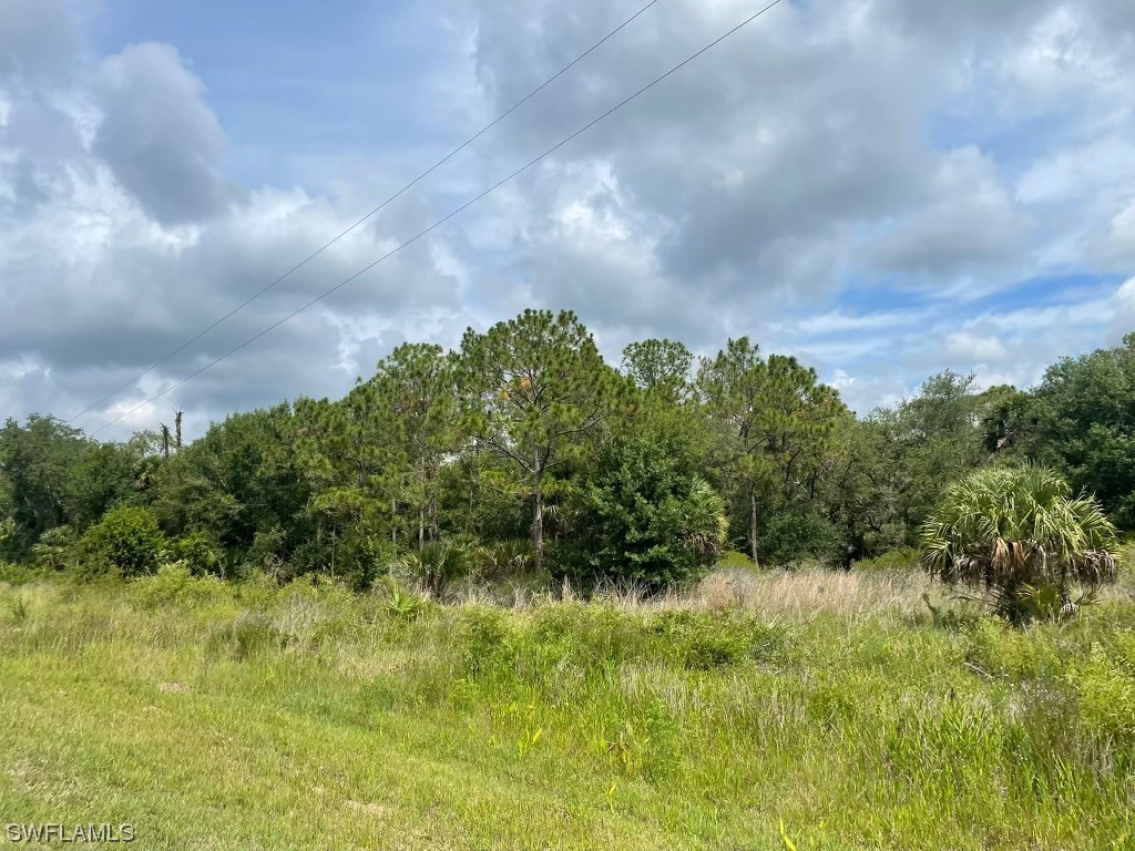 133 Hunting Club Avenue Clewiston FL 33440 223042771 image1