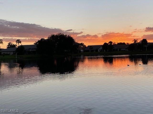 13317 Queen Palm Run North Fort Myers FL 33903 225035288 image31