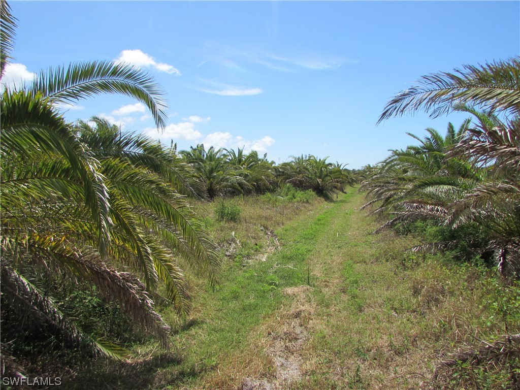 13350 Stringfellow Road Bokeelia FL 33922 223023098 image17