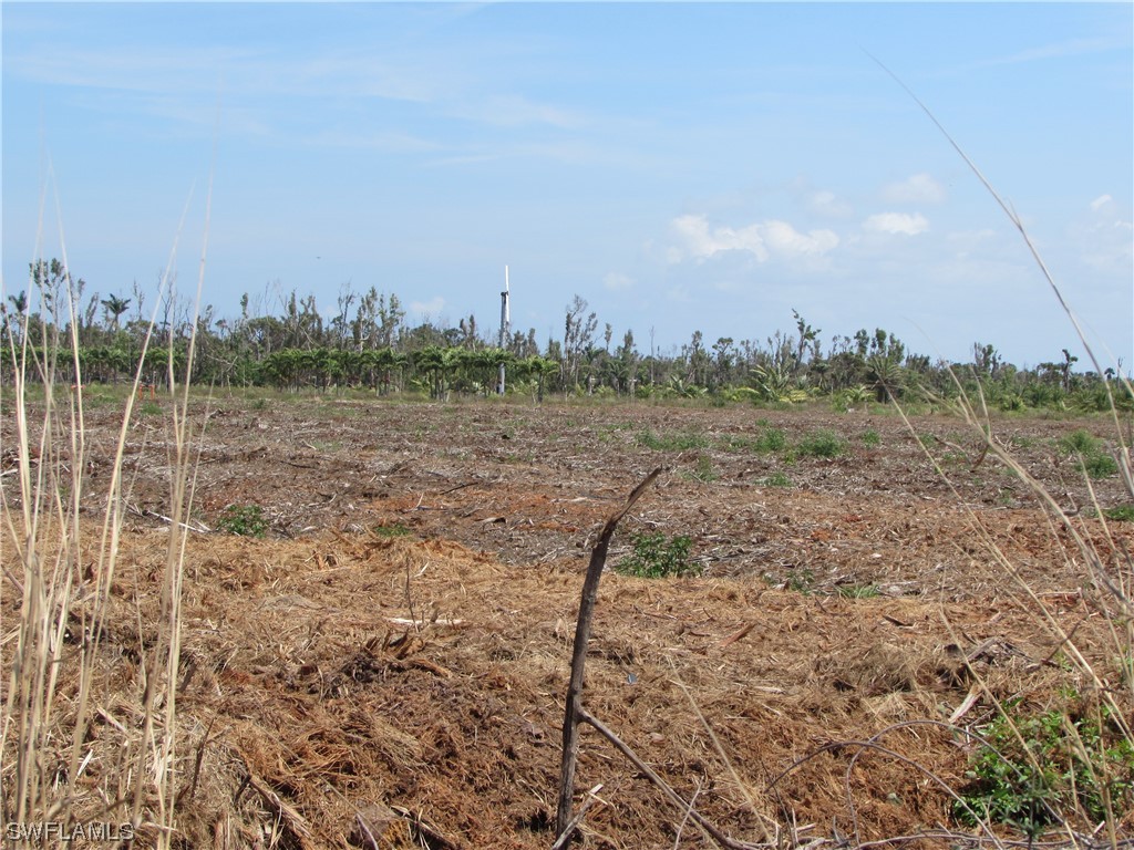 13350 Stringfellow Road Bokeelia FL 33922 223023098 image24