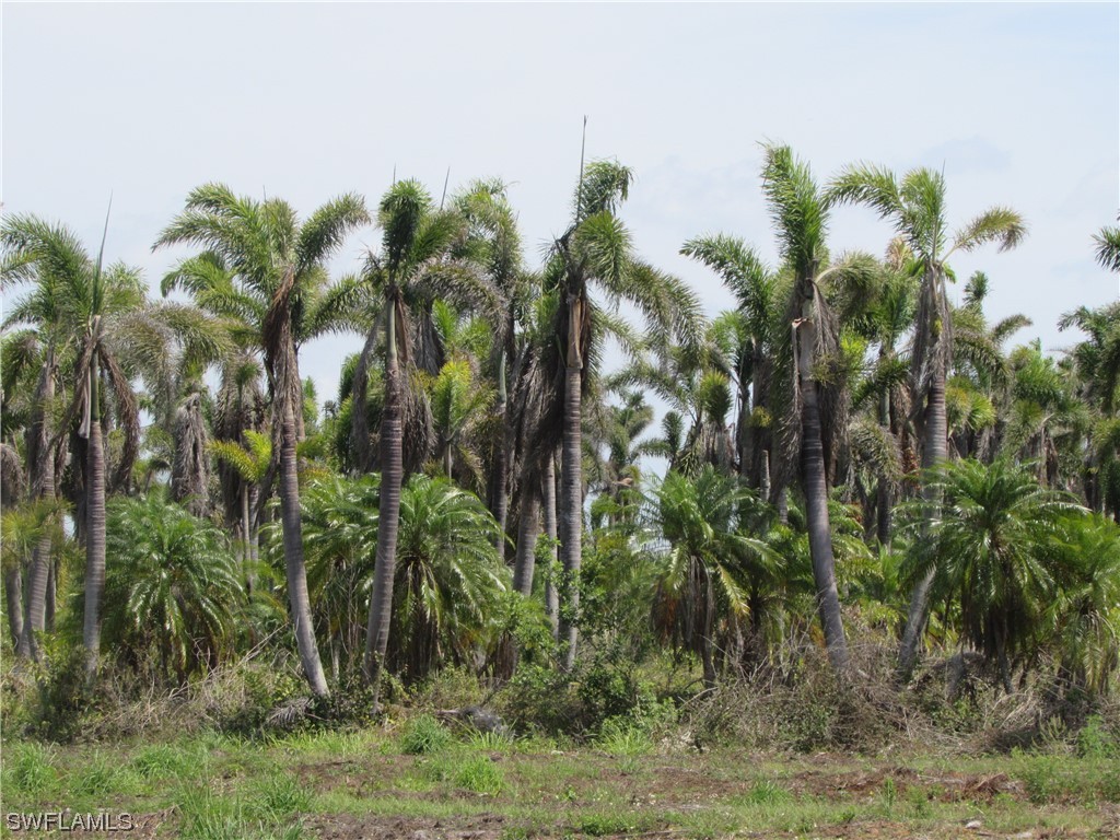 13350 Stringfellow Road Bokeelia FL 33922 223023098 image28