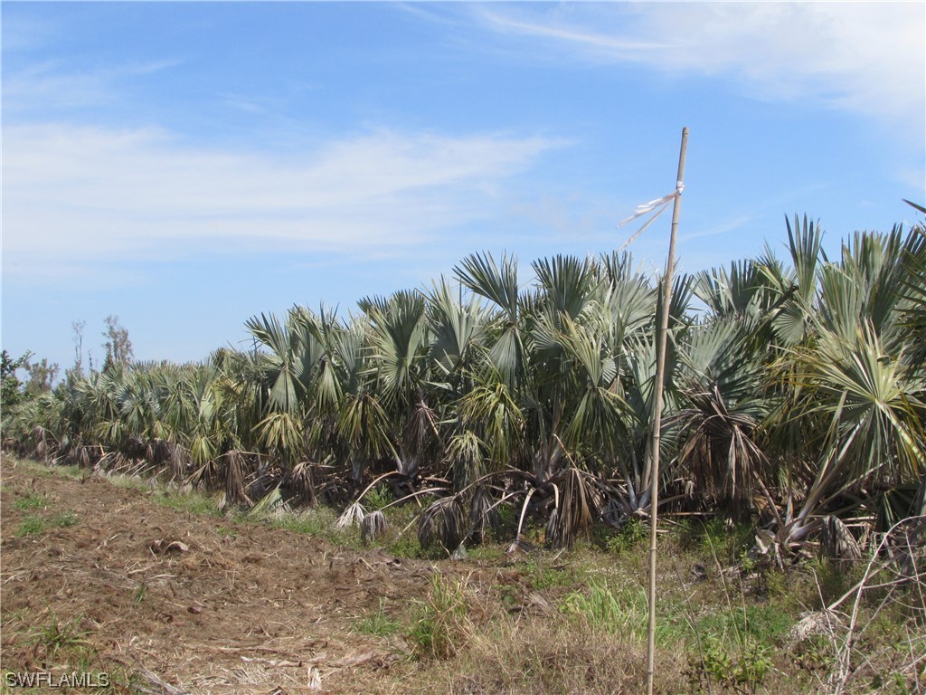 13350 Stringfellow Road Bokeelia FL 33922 223023098 image30