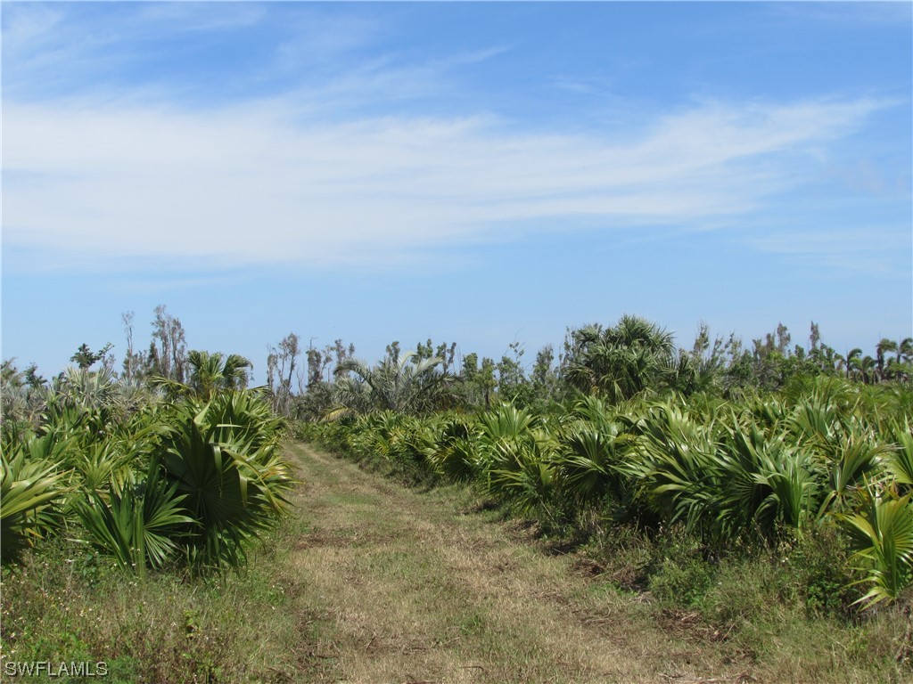 13350 Stringfellow Road Bokeelia FL 33922 223023098 image31