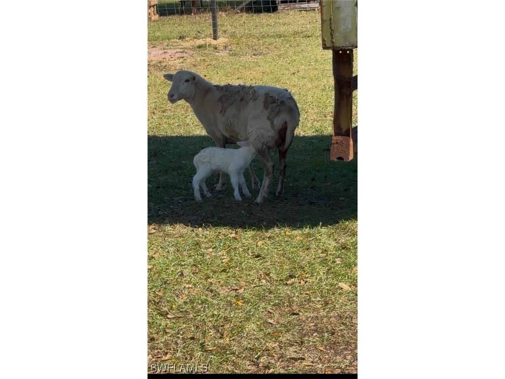 13434 Tangelo Ave La Deca Clewiston FL 33440 224027727 image11