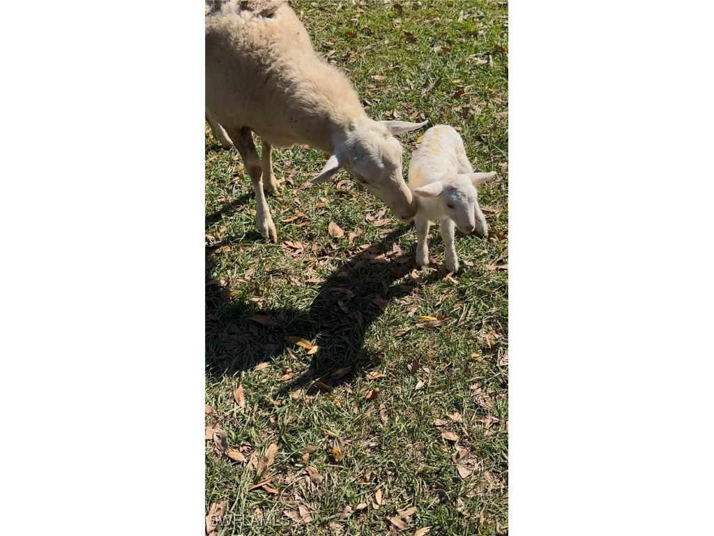 13434 Tangelo Ave La Deca Clewiston FL 33440 224027727 image12