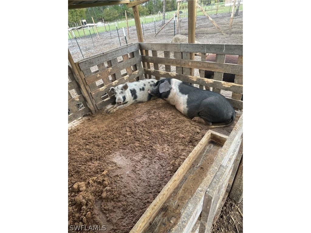 13434 Tangelo Ave La Deca Clewiston FL 33440 224027727 image20