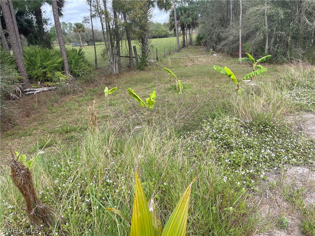 13434 Tangelo Ave La Deca Clewiston FL 33440 224027727 image6