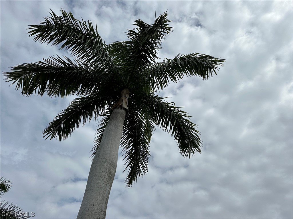 13466 Ladyfish Lane Naples FL 34114 224005551 image5