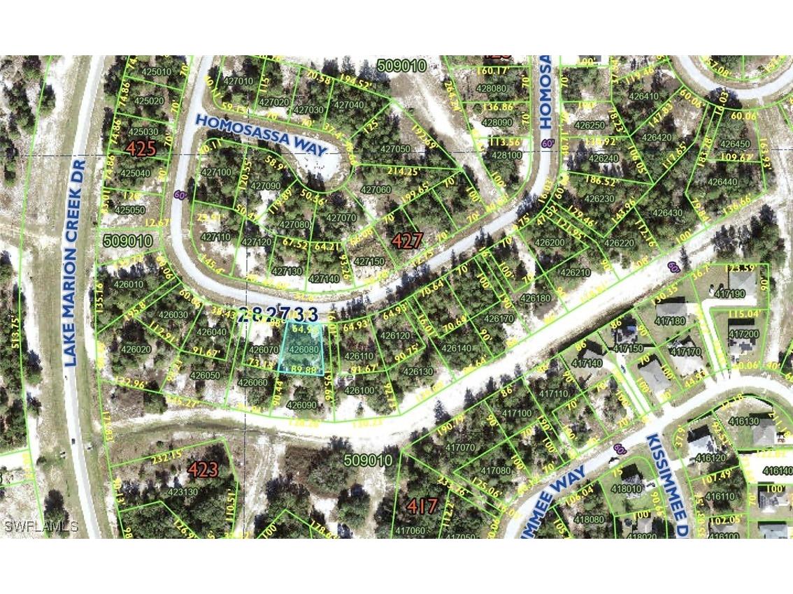 1348 Homosassa Drive Kissimmee FL 34759 225054559 image1