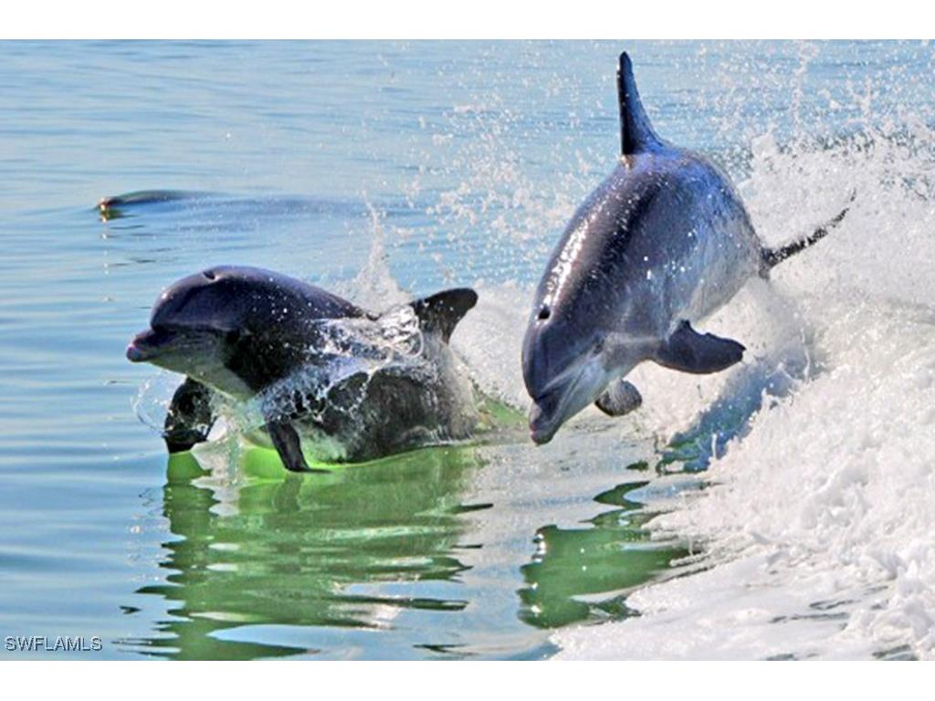  Naples FL 34112 225053488 image24