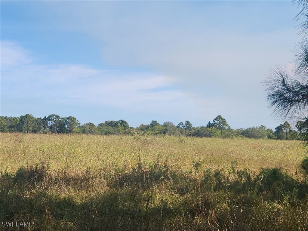 13532 Dancy Avenue Clewiston FL 33440 225043621 image2