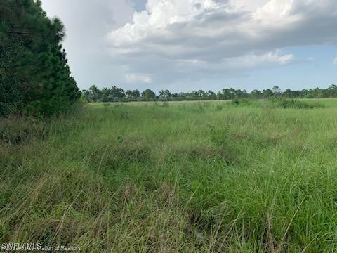 13532 Dancy Avenue Clewiston FL 33440 225043621 image3