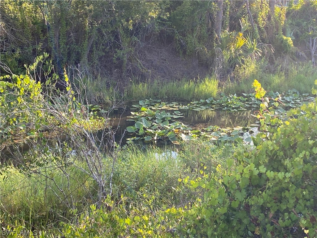 13635 Carousel Drive Punta Gorda FL 33955 223045720 image4