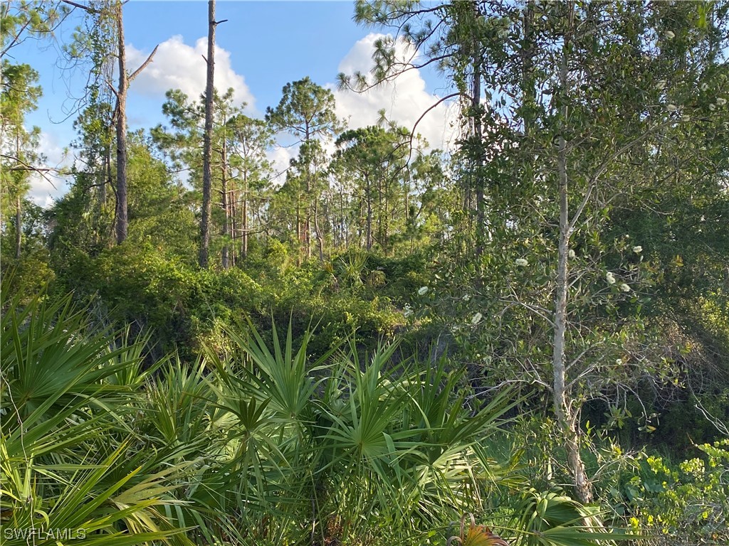 13635 Carousel Drive Punta Gorda FL 33955 223045720 image6