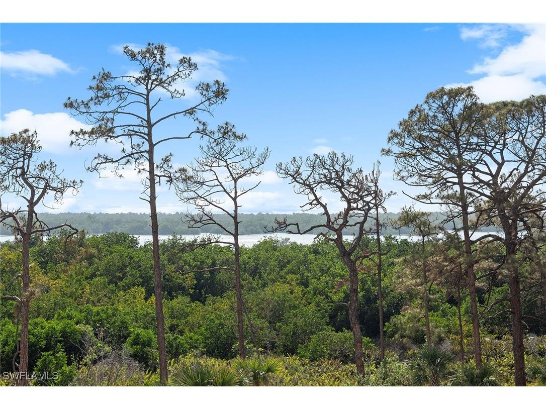 13945 Old Coast Road #406 Naples FL 34110 225032134 image38