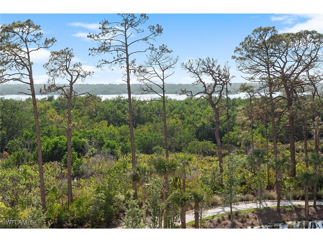 13945 Old Coast Road #406 Naples FL 34110 225032134 image41