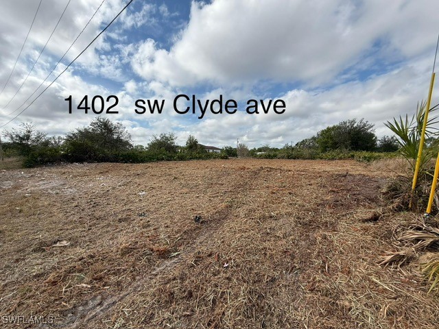 1402 Clyde Avenue S Lehigh Acres FL 33976 225037809 image3