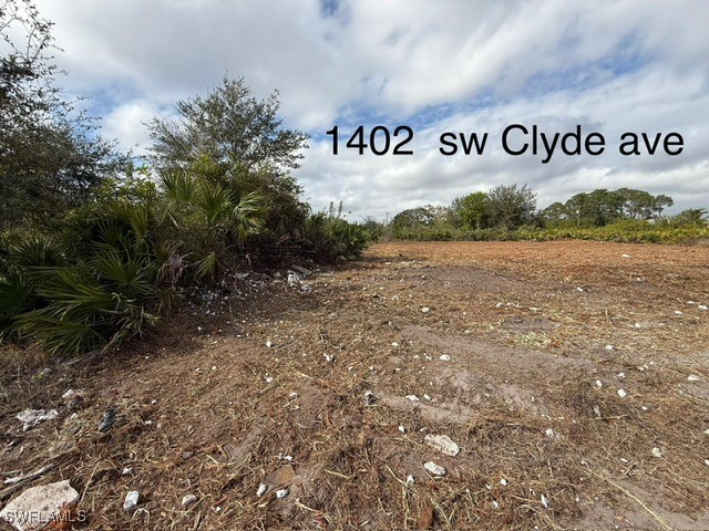 1402 Clyde Avenue S Lehigh Acres FL 33976 225037809 image5