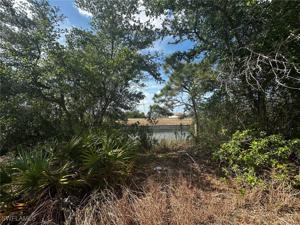 1402 NW 25th Street Cape Coral FL 33993 225040159 image4