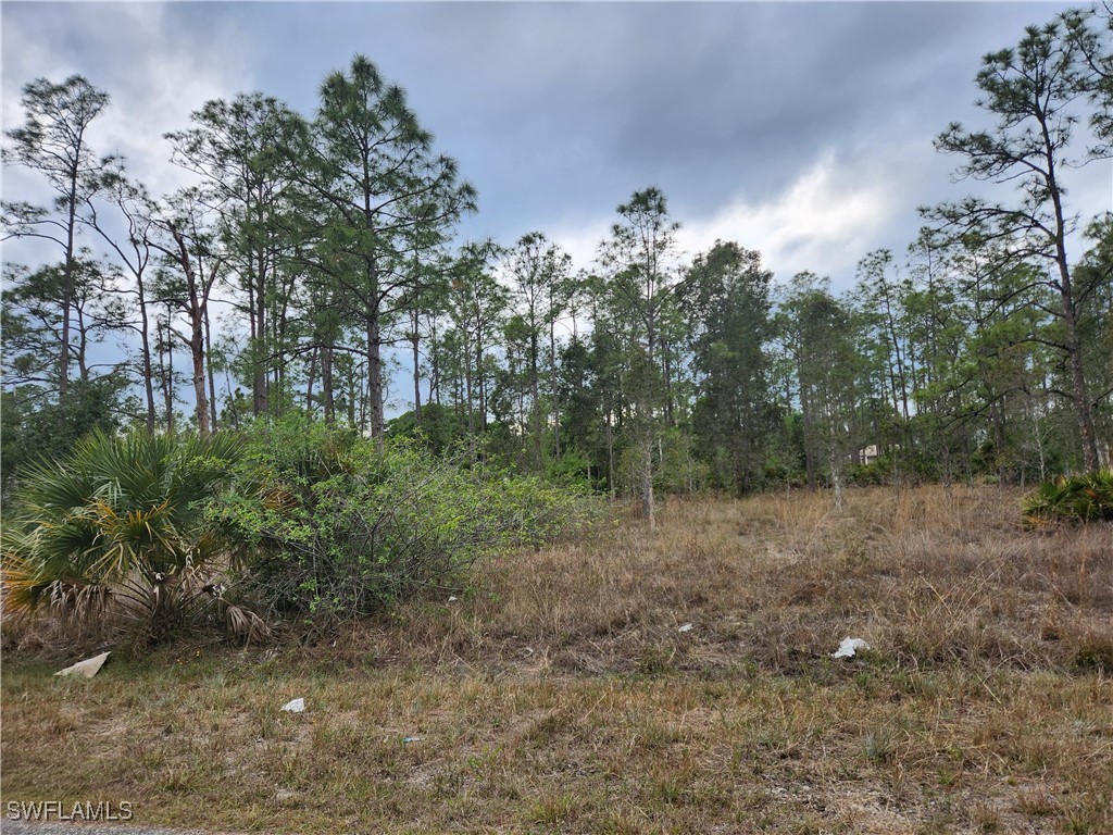 1403 Broadway Avenue Lehigh Acres FL 33972 225036581 image2