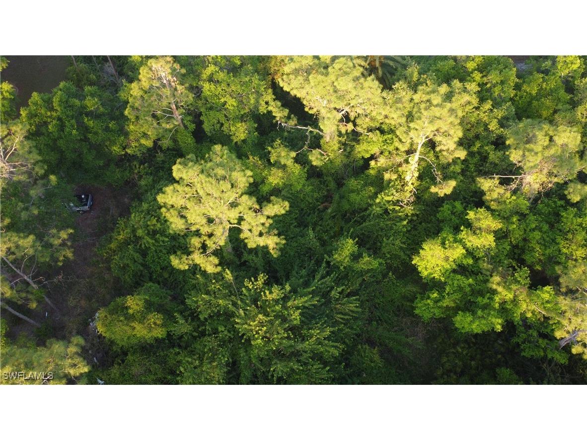 1413 Gerald Avenue Lehigh Acres FL 33972 225027034 image10