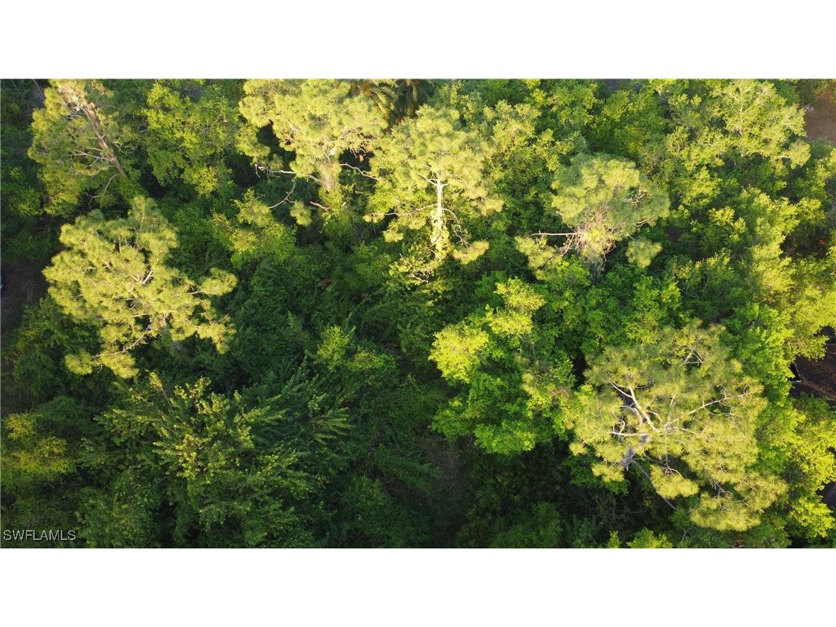 1413 Gerald Avenue Lehigh Acres FL 33972 225027034 image11