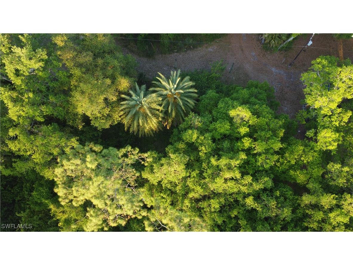 1413 Gerald Avenue Lehigh Acres FL 33972 225027034 image13