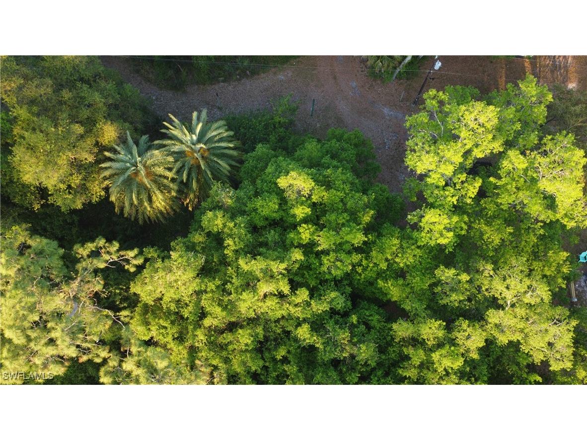 1413 Gerald Avenue Lehigh Acres FL 33972 225027034 image14