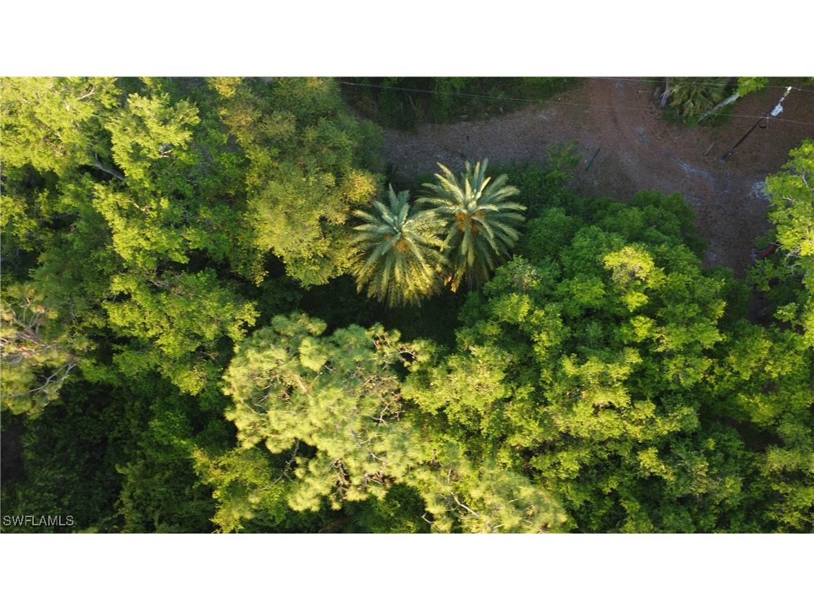 1413 Gerald Avenue Lehigh Acres FL 33972 225027034 image15