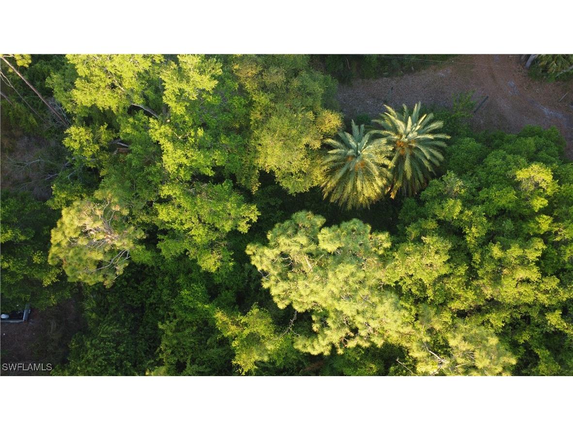 1413 Gerald Avenue Lehigh Acres FL 33972 225027034 image16