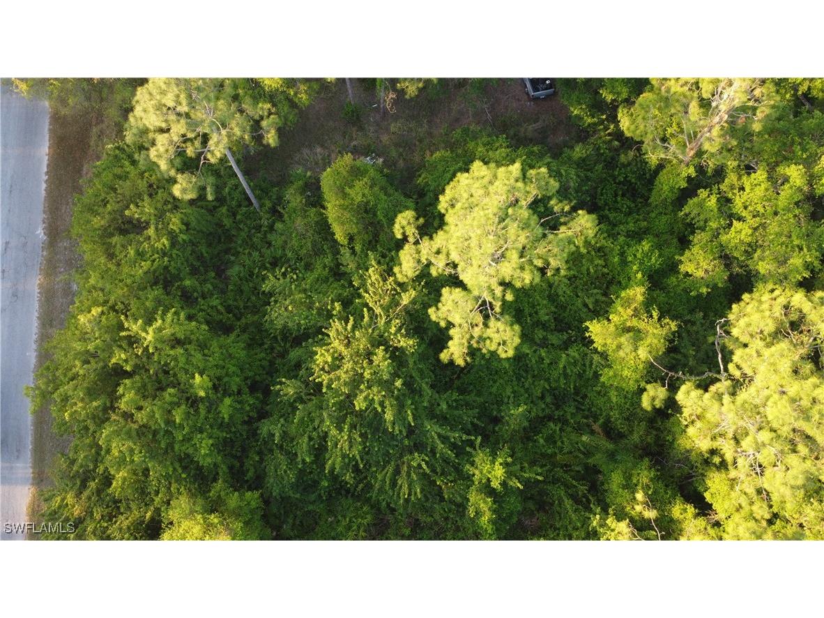 1413 Gerald Avenue Lehigh Acres FL 33972 225027034 image17