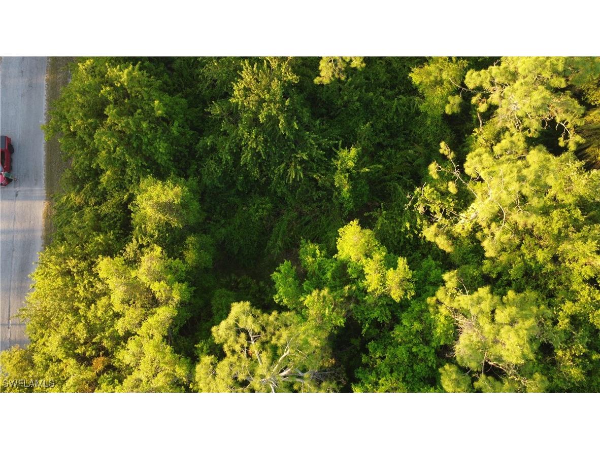 1413 Gerald Avenue Lehigh Acres FL 33972 225027034 image19