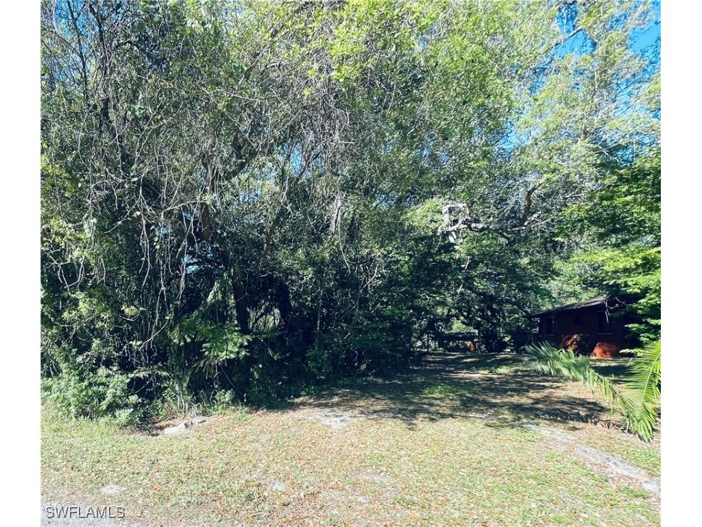 1413 Gerald Avenue Lehigh Acres FL 33972 225027034 image2