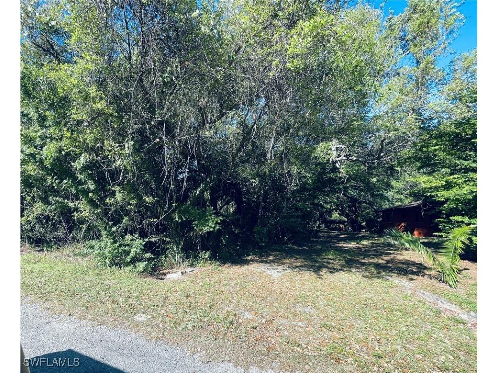 1413 Gerald Avenue Lehigh Acres FL 33972 225027034 image3